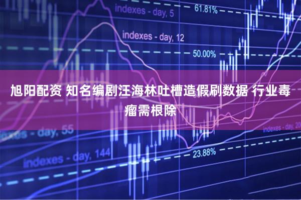 旭阳配资 知名编剧汪海林吐槽造假刷数据 行业毒瘤需根除