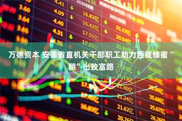 万德资本 安徽省直机关干部职工助力西藏蜂蜜“酿”出致富路